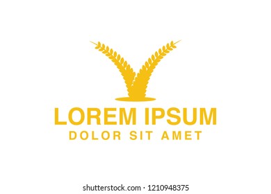 wheat grain agriculture, farm logo Designs Inspiration Isolated on White Background