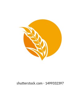 Wheat Grain Agriculture Logo Design