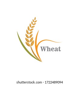 Wheat grain agriculture logo design template vector illustration