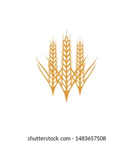 Wheat Grain Agriculture Logo Vector Stock