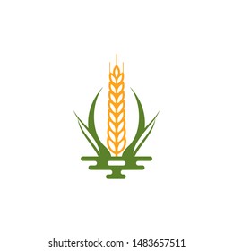 Wheat Grain Agriculture Logo Vector Stock