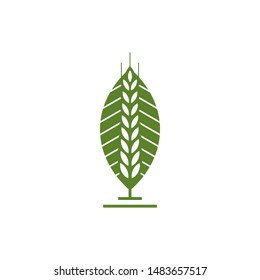 Wheat Grain Agriculture Logo Vector Stock