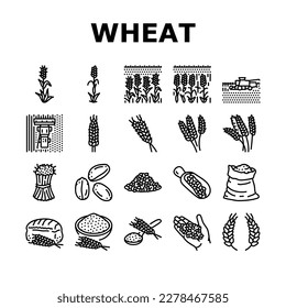 los iconos de la cosecha de pan de grano de trigo establecen el vector. cereales agrícolas, alimentos para cultivos, semillas de plantas, oreja de granja, cebada orgánica, panadería natural grano de trigo cosecha de pan contorno negro ilustraciones