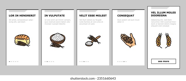 wheat grain bread harvest onboarding mobile vector. agriculture cereal, crop food, plant seed, farm ear, organic barley, natural bakery wheat grain bread harvest illustrations
