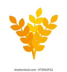 wheat grain cereal agriculture harvest food vector illustration