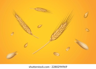 Wheat grain for cereal or bread. 3d nature ear, organic golden crop harvest, agriculture banner, rye plants, farming bakery backdrop. Decorative organic objects. Vector realistic elements