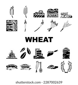 wheat grain cereal plant icons set vector. barley bread, ear rye, food organic, harvest corn, agriculture seed, rice oat wheat grain cereal plant glyph pictogram Illustrations