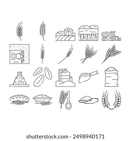 Iconos de la planta del cereal del grano de trigo Vector. pan de cebada, centeno de oreja, alimento orgánico, cosecha de maíz, semilla de agricultura, arroz avena cereal de trigo planta de cereal negro contorno ilustraciones