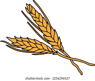 wheat grain color vector illustration isolated on white background