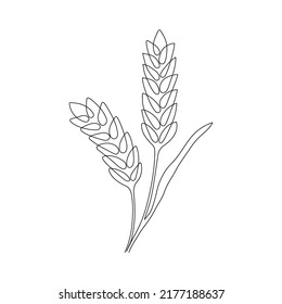Wheat grain ear  nature bread  one single continuous art line drawing  Linear sketch wheat  rice  corn  oat ear   grain  Outline Spica plant for agriculture  cereal products  bakery  Vector