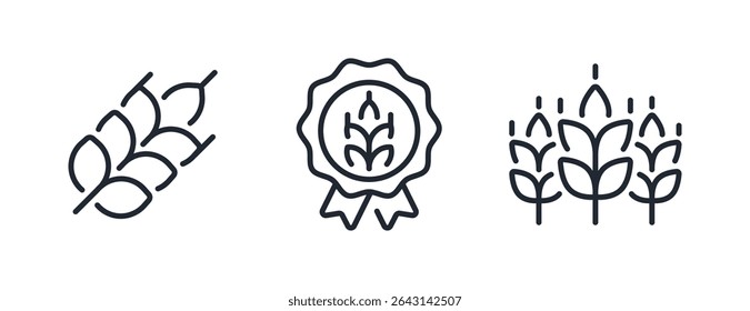 Wheat grain editable stroke outline icons set isolated on white background flat vector illustration. Pixel perfect. 64 x 64.