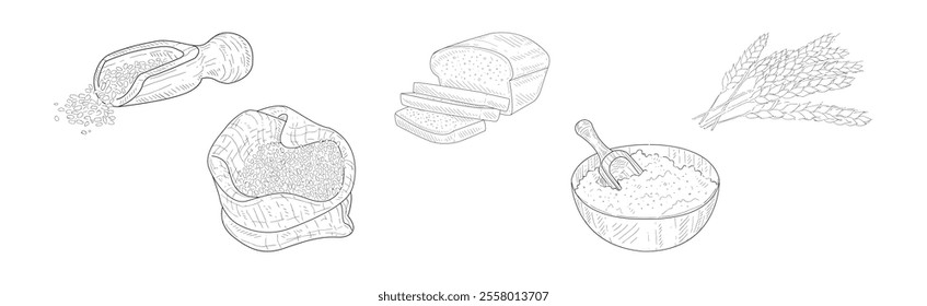 Wheat Grain Farm and Rural Crop Harvest Vector Set