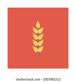 wheat grain food 