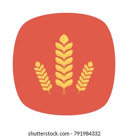 wheat grain food 