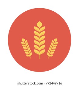 wheat grain food 