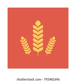 wheat grain food 