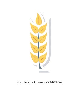 wheat grain food 