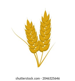Icono de grano de trigo sobre fondo blanco. Ilustración del vector