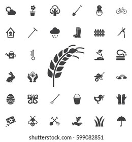 wheat grain icon. Set of spring icons
