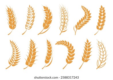 Wheat grain icons. Curved ears silhouettes. Agriculture elements. Cereal crops. Different flat shapes. Yellow seeds stylization. Rye and barley spikes. Bakery product