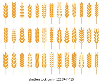 Wheat grain icons. Wheats bread logo, farm grains and rye stalk whole barley foods golden seed. Agriculture harvest crop ear oat field nutrition organic symbol isolated vector icon set