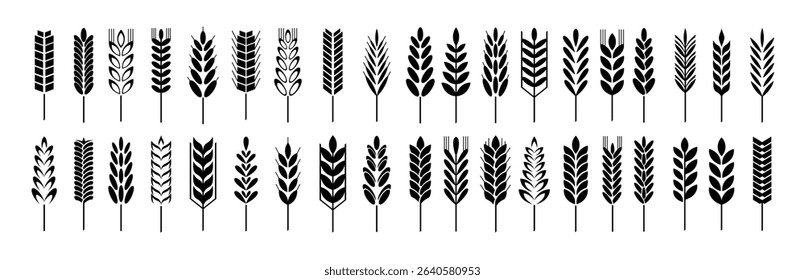 wheat grain icons wheats bread logo farm grains rye stalk symbol isolated icon