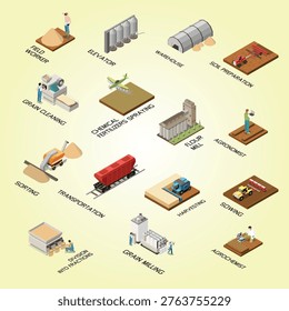 Wheat grain industry flowchart with information about sowing chemical fertilizers spraying harvesting transportation sorting elevator grain milling isometric elements vector illustration
