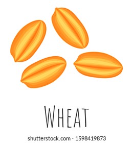 Wheat grain isolated illustration, cartoon style vector clip-art.