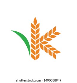 Wheat grain and letter K shape. Vector Logo. Icon and Symbol. Eps 10.