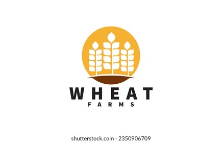 Wheat grain logo design vector. Grain wheat field logo concept  agriculture wheat logo template