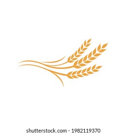 Wheat Grain Logo Wheat Rice Agriculture Stock Vector (Royalty Free ...