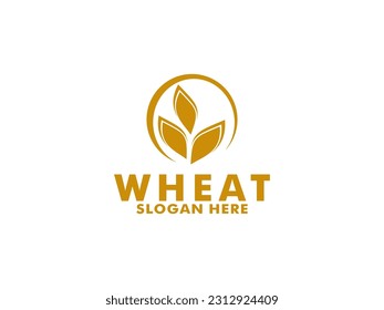 Wheat Grain Logo vector template