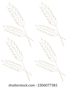 wheat,  grain, natural