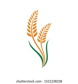 Wheat grain, Wheat Nutrition, Wheat rice agriculture logo Inspiration vector