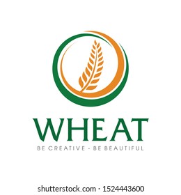 Wheat grain, Wheat Nutrition, Wheat rice agriculture logo Inspiration vector