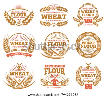Similar – Image, Stock Photo Wheat ears in the field, top view, stalks still green, close up