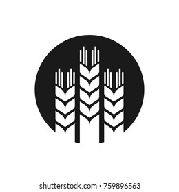 wheat grain vector logo.