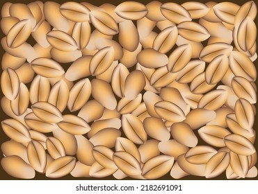 Wheat grains background on dark background. Cereal