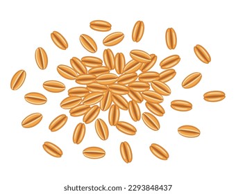 Wheat grains bunch. Cereal rye or barley. Vector illustration.
