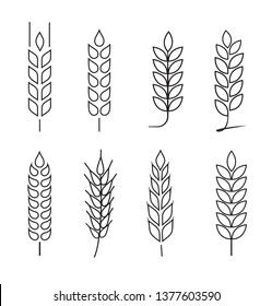 Wheat grains of different shapes set. A set of icons ready to use in your design. Vector icons can be used on different backgrounds. EPS10.	