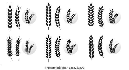 Wheat grains of different shapes set. A set of icons ready to use in your design. Vector icons can be used on different backgrounds. EPS10.	