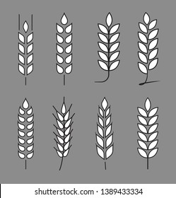 Wheat grains of different shapes set. A set of icons ready to use in your design. Vector icons can be used on different backgrounds. EPS10.	
