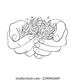 Wheat grains in human palms line art drawing,vector illustration.Farmer hands with grains of wheat or other crops black and white sketch.Logo,emblem,icon design element.Global food crisis