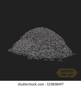 Wheat grains isolated on white background.Handwritten sketch. Vector illustration. Black ear, on isolated background. Gluten food ingredient engraving retro style.