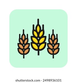 Wheat grains line icon. Ear, spike, cereal. Food concept. Can be used for topics like harvest, farm food, healthy eating care
