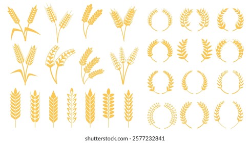 Wheat grains wreath. Barley ears, rye spike rice stalk or laurel wreaths beer logo heraldic symbol round frame for bakery bread label emblem farm harvest, neat vector illustration original artwork