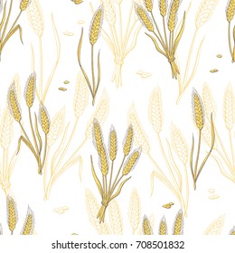 Wheat graphic color seamless pattern sketch illustration vector