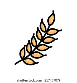 wheat graphic design. Vector illustration. 