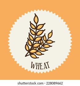 wheat graphic design , vector illustration