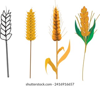 wheat graphics Agricultural business and food production for consumption